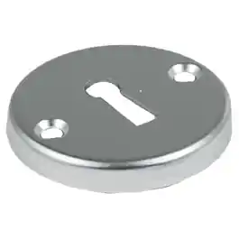 Plaats Bestelling AMI afdekrozet nr. 3 rond SLG F1